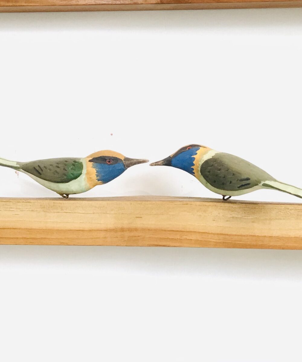 Exotic Birds - Bee Eater (a pair)