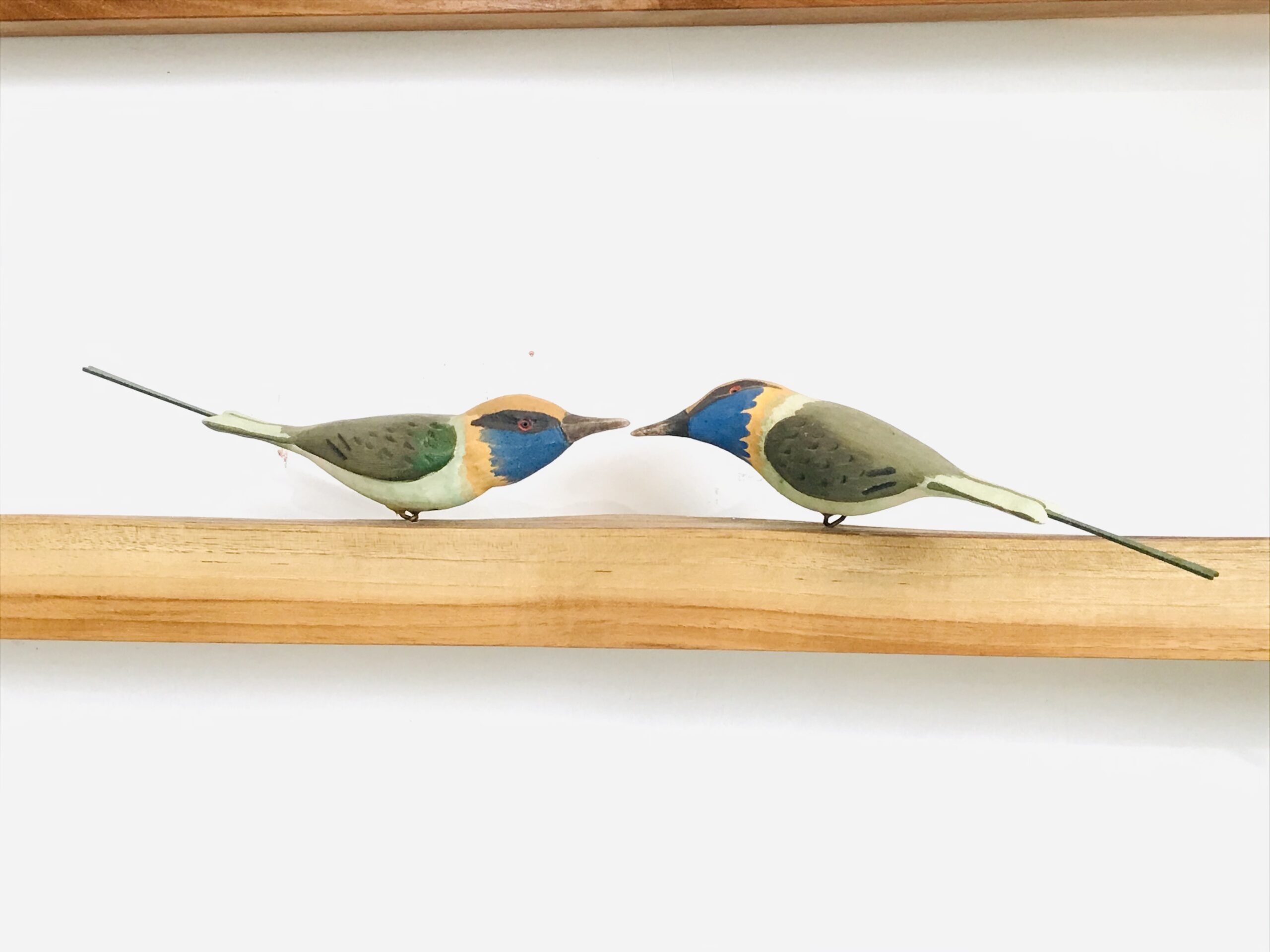 Exotic Birds - Bee Eater (a pair)
