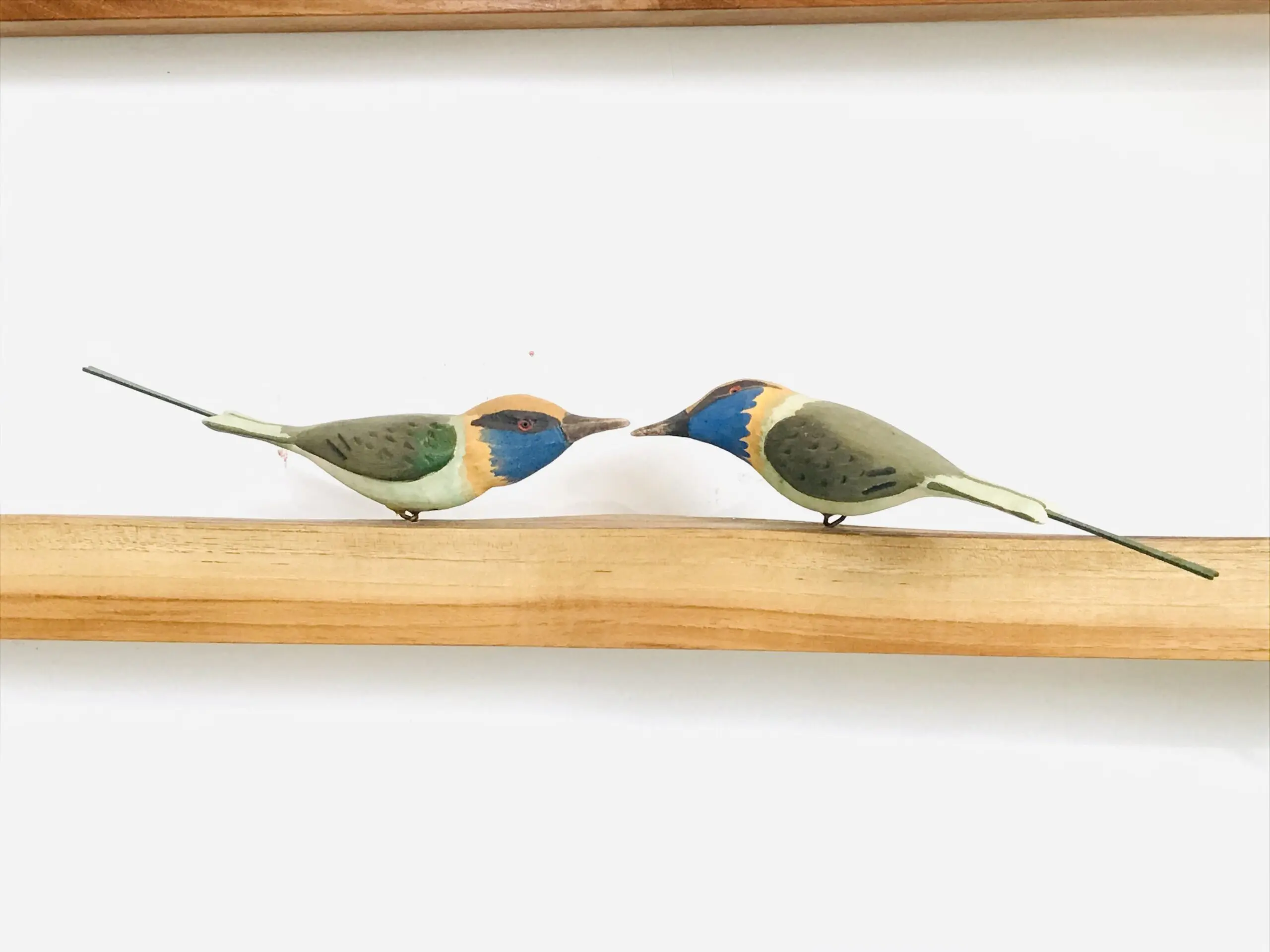 Exotic Birds - Bee Eater (a pair)