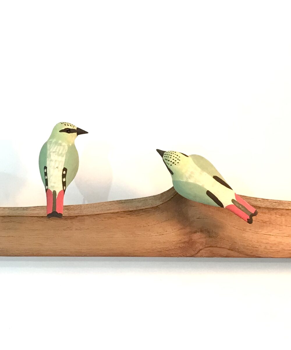 Exotic Birds - Fire-tailed Myzornis (a pair)