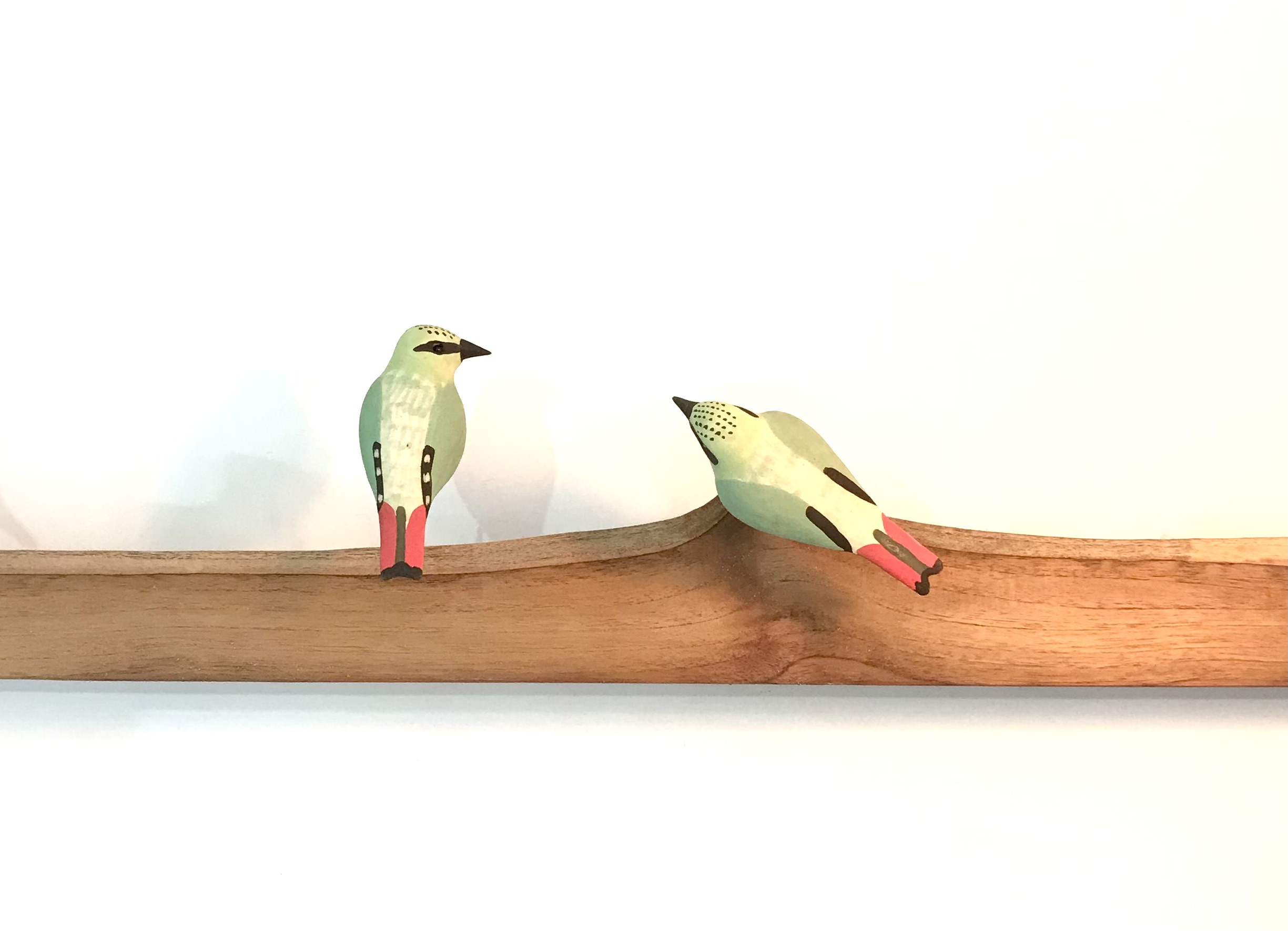 Exotic Birds - Fire-tailed Myzornis (a pair)