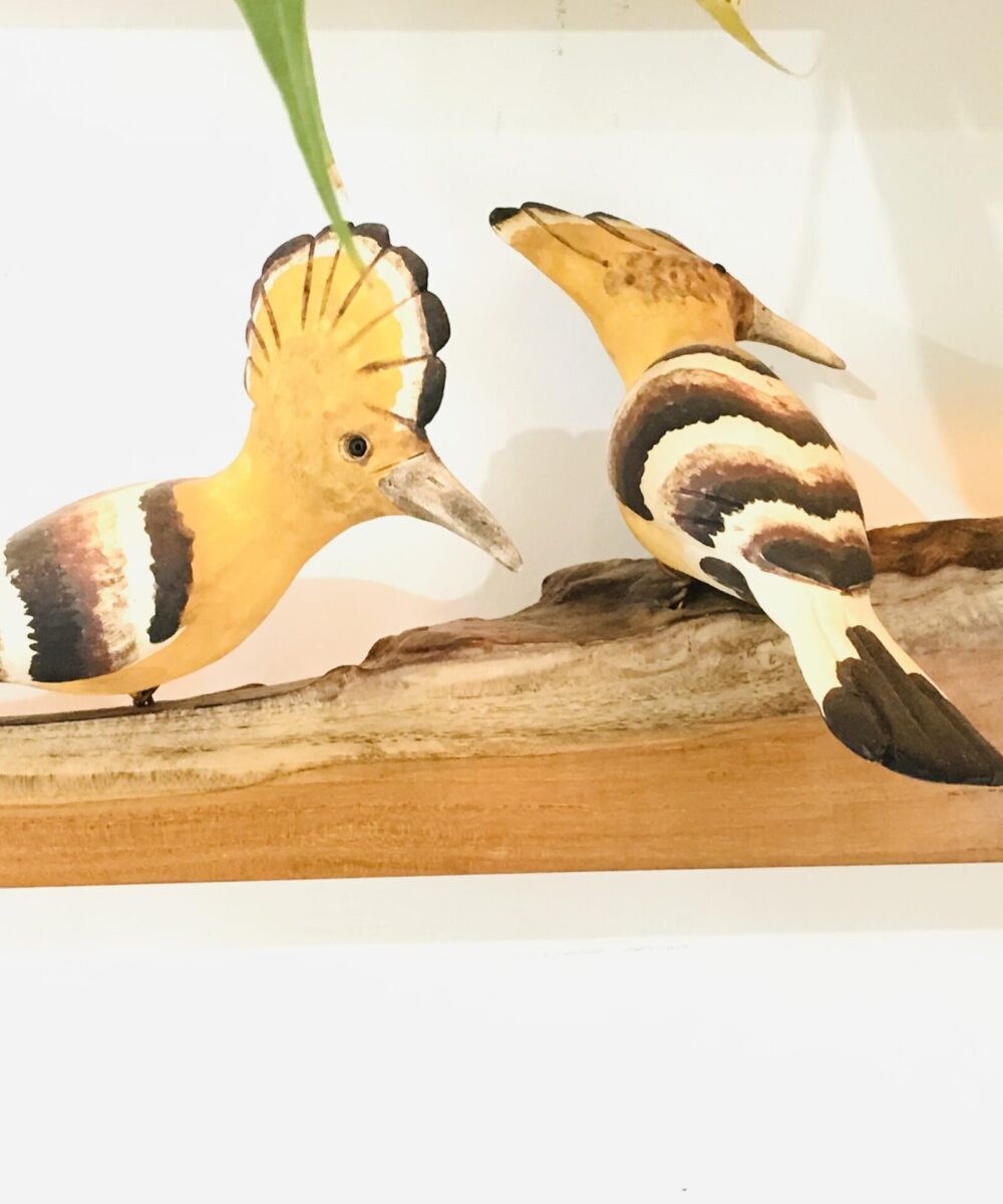 Exotic Birds - Hoopoe (a pair)