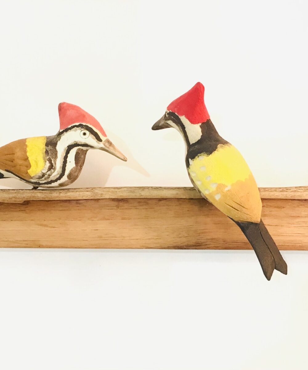 Exotic Birds - Woodpecker (a pair)