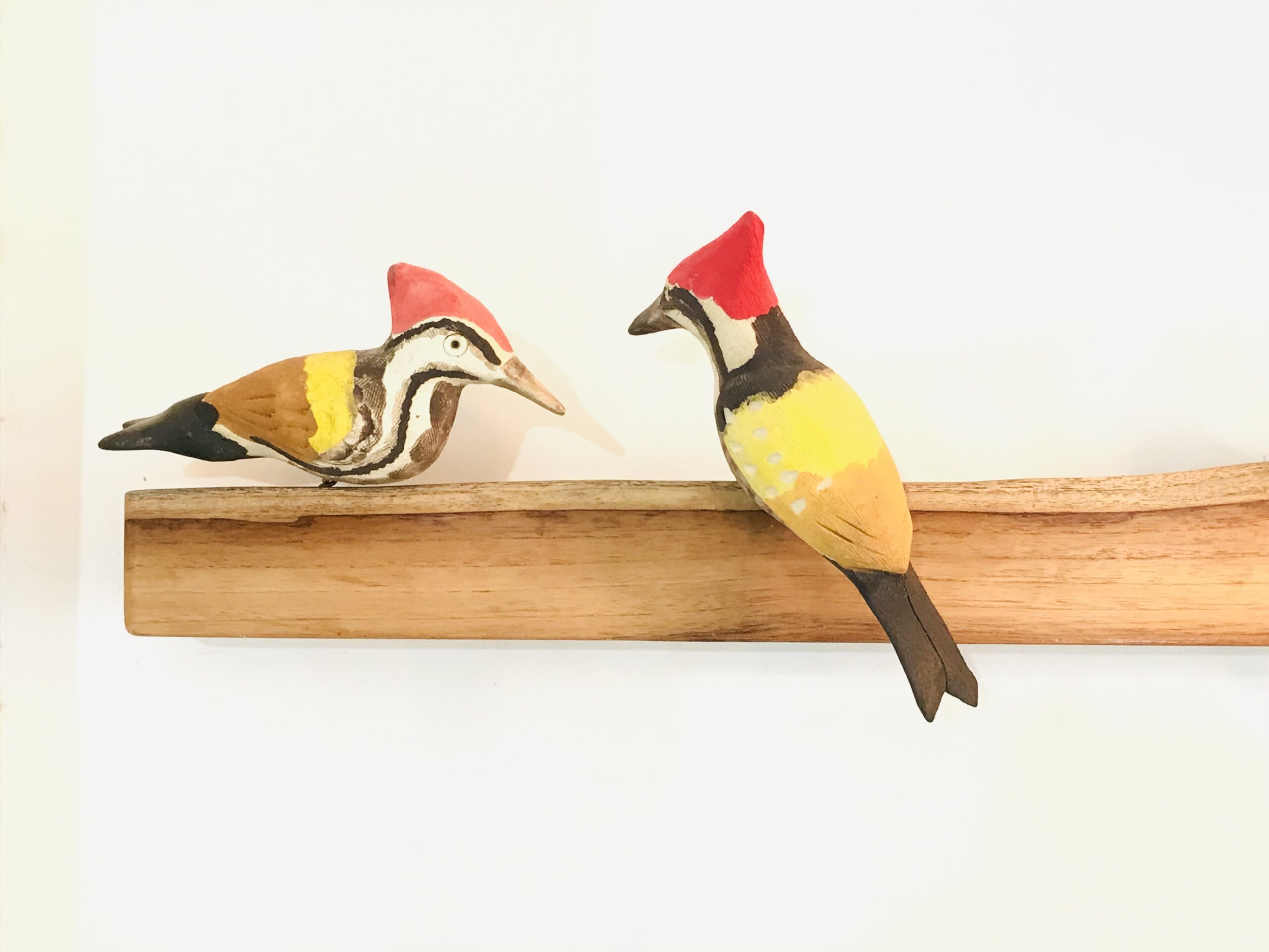 Exotic Birds - Woodpecker (a pair)