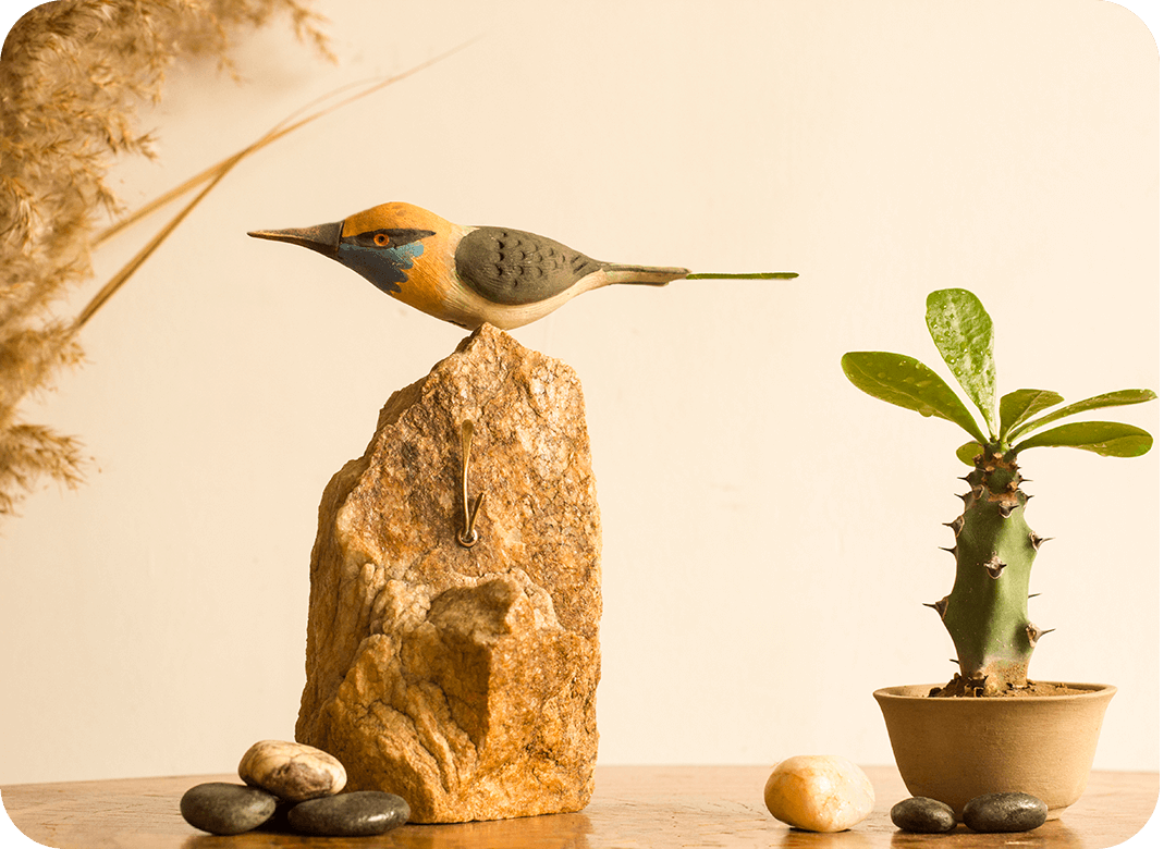 Exotic Table Tops - Bee Eater (single)