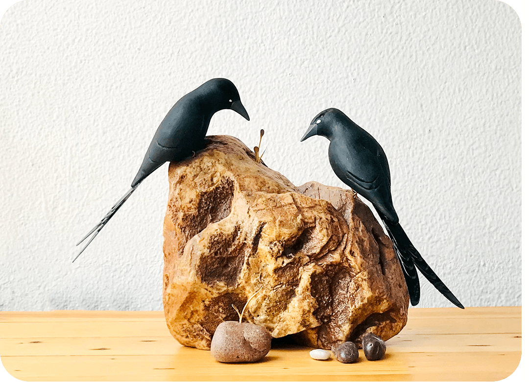 Exotic Table Tops - Bee Eater (single)