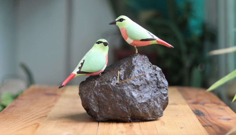 Exotic Table Tops - Fire-tailed Myzornis (pair)