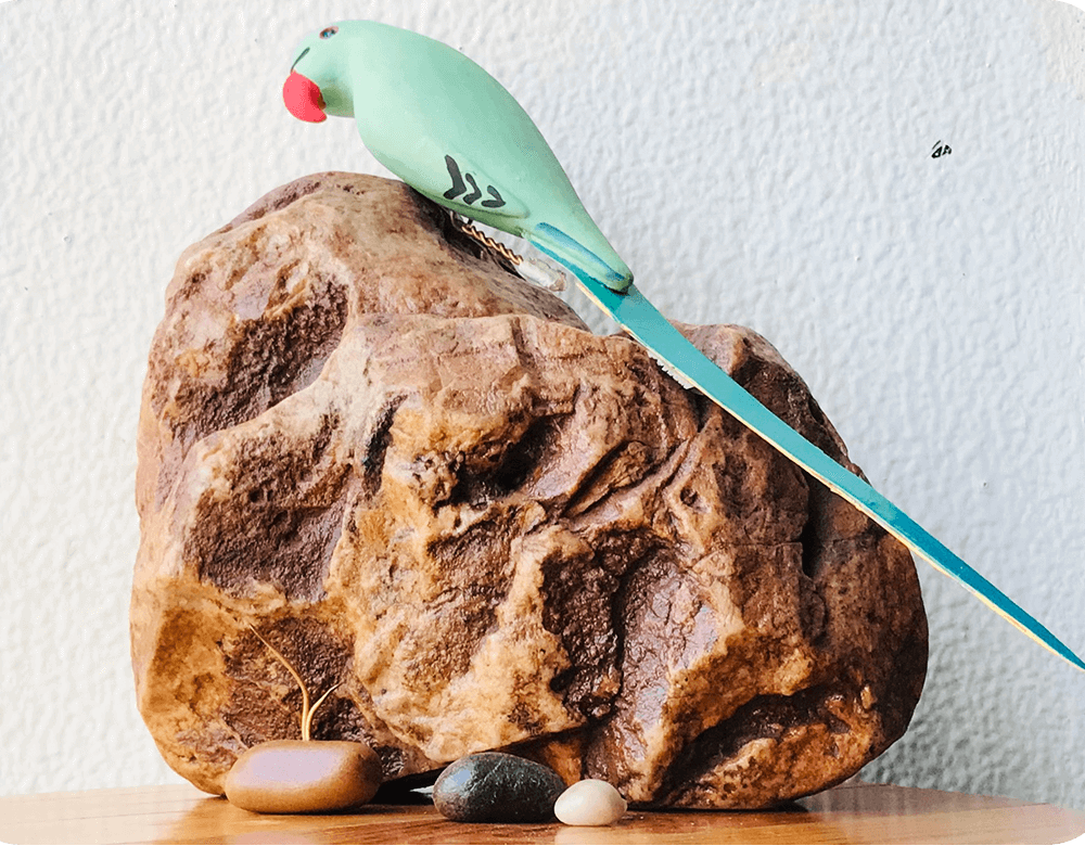 Exotic Table Tops - Indian Parakeet (single)