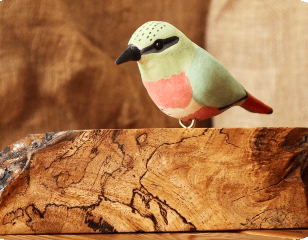 Exotic Table Tops - Fire-tailed Myzornis (single)