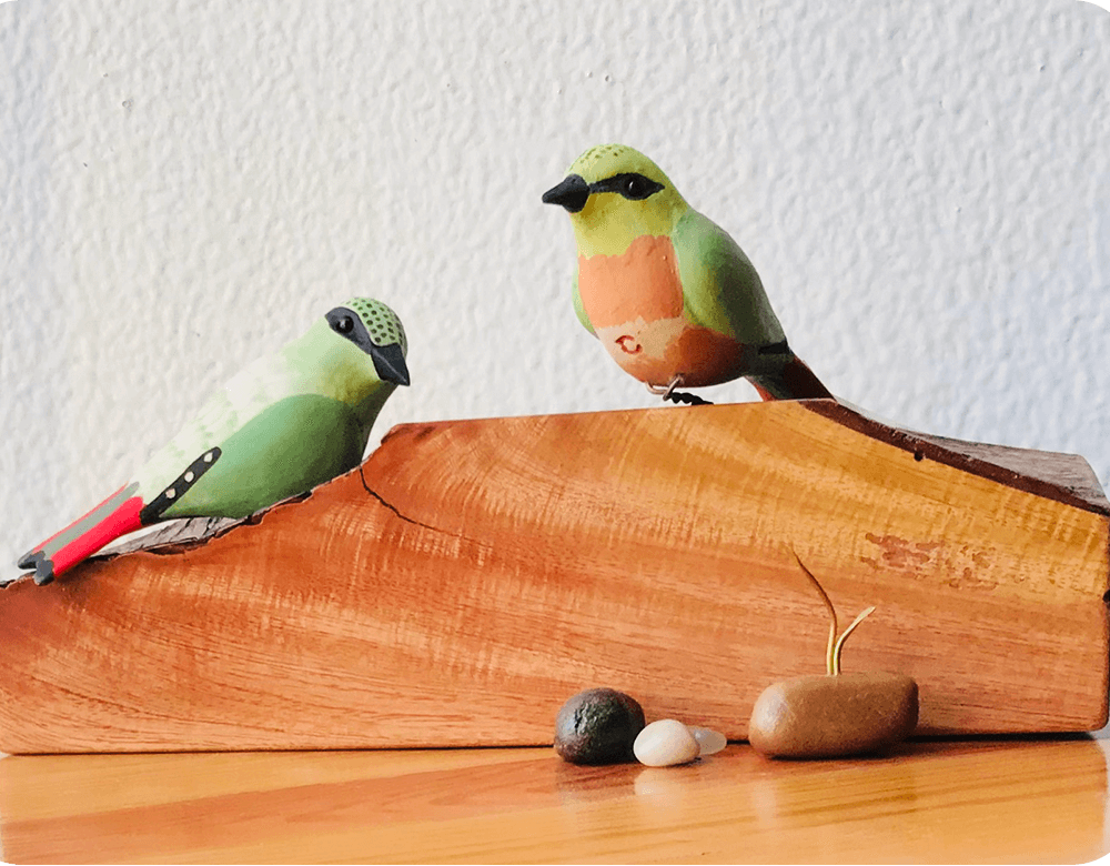 Exotic Table Tops - Fire-tailed Myzornis (pair)
