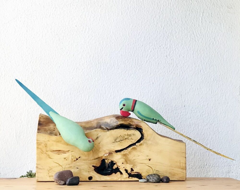Exotic Table Tops - Indian Parakeet (pair)