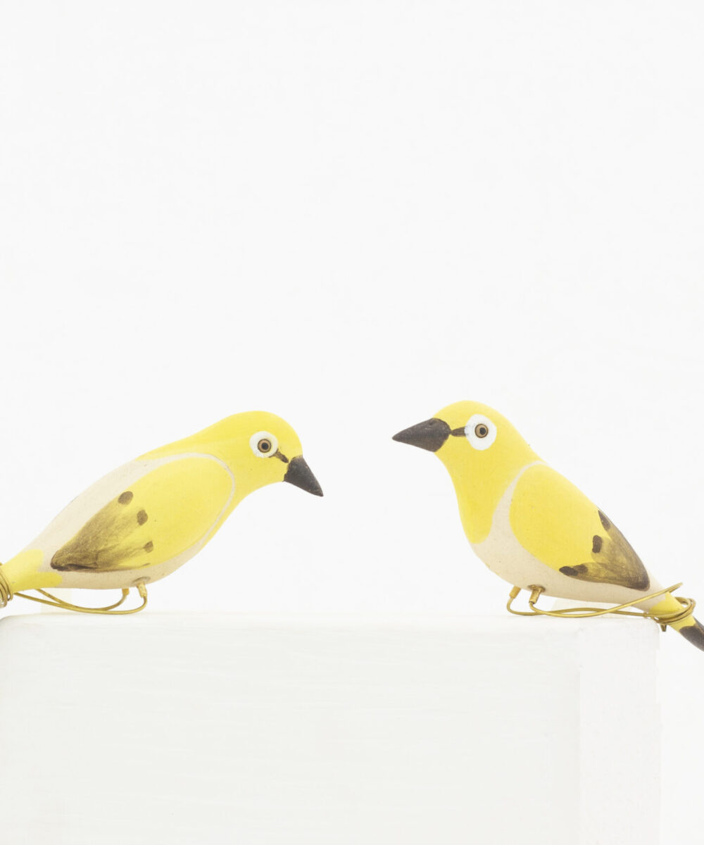 Peppy Pops -White eye Oriental (a pair)