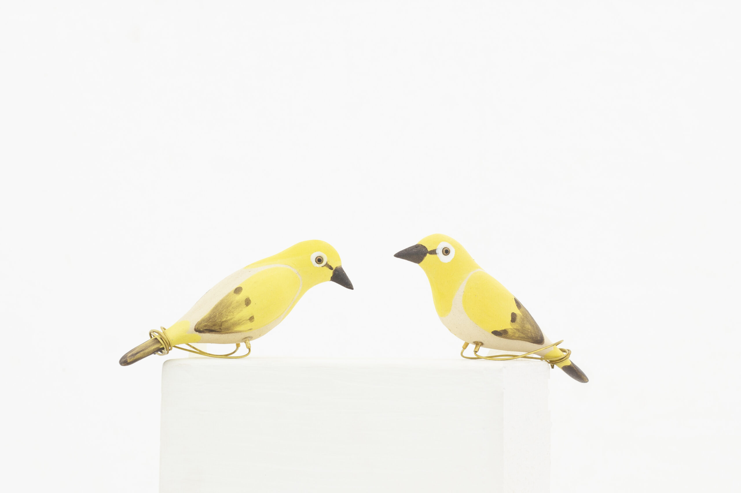 Peppy Pops -White eye Oriental (a pair)