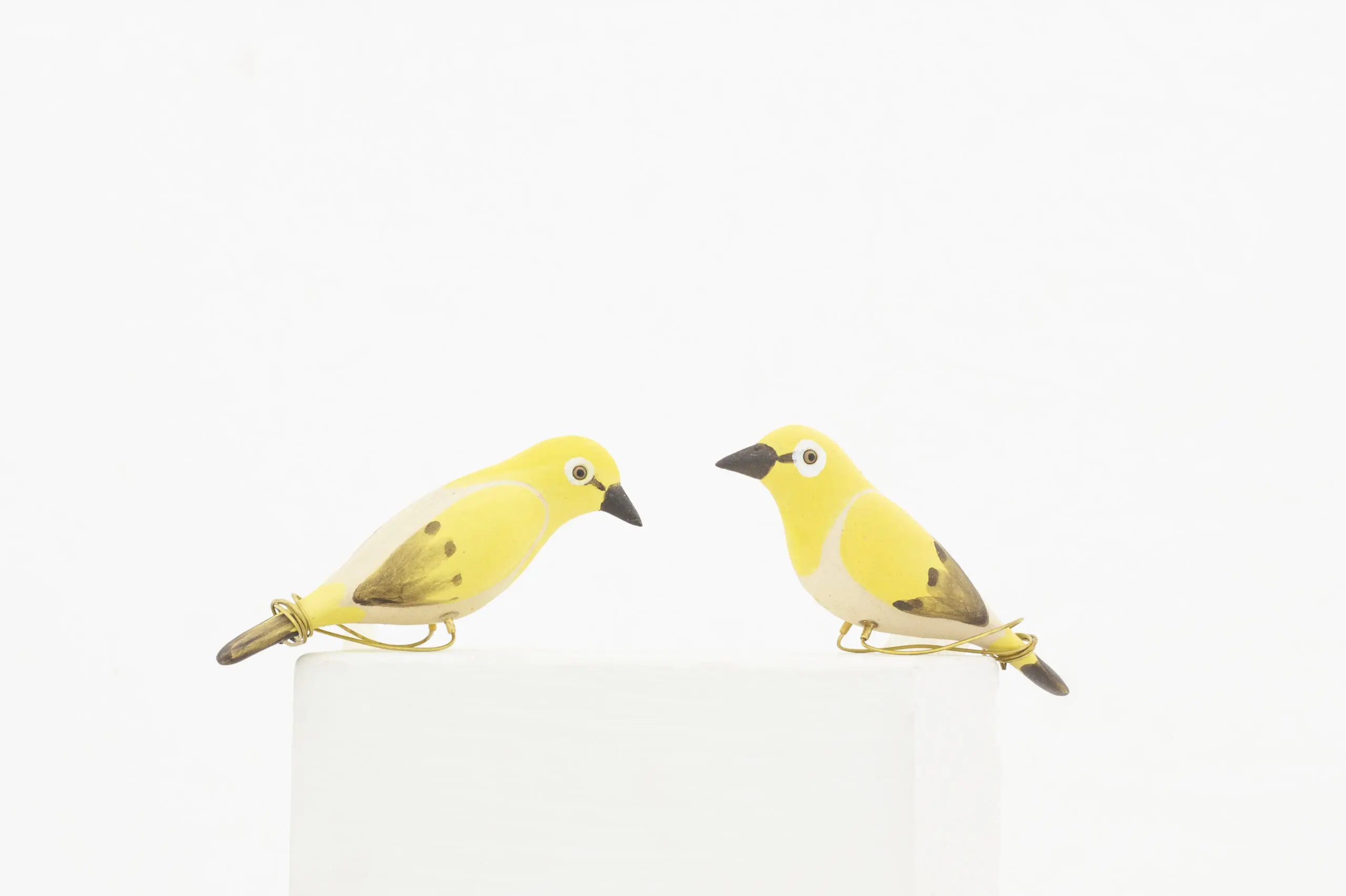 Peppy Pops -White eye Oriental (a pair)